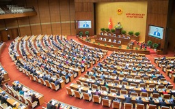 Sáng nay (19/6), Quốc hội tiến hành phiên chất vấn và trả lời chất vấn