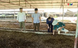Mô hình nông dân xử lý rác thải nông nghiệp