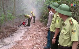 Dự báo và thông tin cấp dự báo cháy rừng từ ngày 02/6 - 08/6/2025