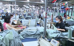 Các doanh nghiệp xuất khẩu đẩy mạnh tìm kiếm thị trường
