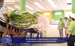 Bản tin Tài chính - Thị trường 20/6/2025