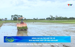 Bản tin Nông nghiệp nông thôn ngày 21/6/2025