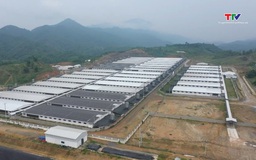 Trang trại lợn ở xã Tân Phúc, huyện Lang Chánh tiếp tục gây ô nhiễm môi trường sau khi được cấp phép hoạt động trở lại