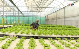 Mở rộng hỗ trợ nông nghiệp hữu cơ, công nghệ cao từ 1/7