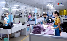 Thanh Hoá thu ngân sách hơn 27.500 tỷ đồng trong 6 tháng đầu năm