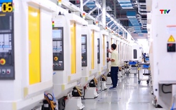 Bộ Tài chính rà soát, đơn giản thủ tục hành chính