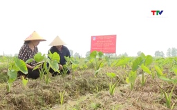 Thanh Hóa phát triển nguồn nhân lực nghiên cứu khoa học