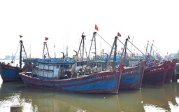 Chủ động ứng phó với áp thấp nhiệt đới