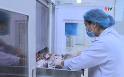 Thiếu máu cấp cứu, điều trị bệnh trong dịp hè