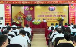 Đại hội đại biểu Đảng bộ Sở Y tế lần thứ XXVIII, nhiệm kỳ 2025 - 2030