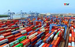 Phụ phí bốc dỡ container tăng gần 50% sau một thập kỷ