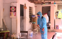 Bệnh sốt xuất huyết không còn xảy ra theo chu kỳ