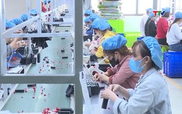 86% doanh nghiệp lo ngại về tác động của thuế quan từ Mỹ