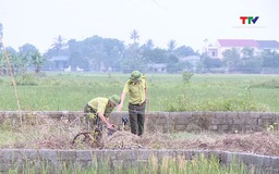Quyết liệt phòng chống nạn bẫy bắt, buôn bán chim hoang dã