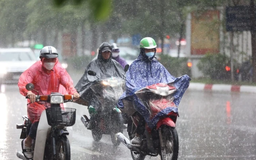 Khu vực tỉnh Thanh Hoá có mưa rào và dông rải rác, cục bộ có mưa to