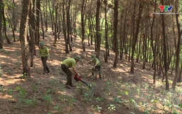 Dự báo và thông tin cấp dự báo cháy rừng đến ngày 08/6/2025