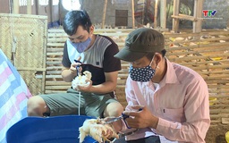 Chủ động phòng chống dịch bệnh trên đàn gia súc, gia  cầm mùa nắng nóng