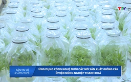 Bản tin Số và công nghệ ngày 4/6/2025