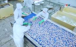 Xuất khẩu thủy sản tăng 14% so với cùng kỳ