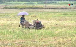 Các địa phương thu hoạch lúa chiêm Xuân, tiến hành sản xuất vụ mùa 2025