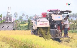 Tập trung thu hoạch lúa xuân, chuẩn bị sản xuất vụ mùa 2025