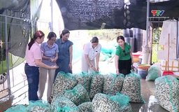 Hiệu quả hoạt động các câu lạc bộ Doanh nhân nữ    