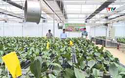 Nhân rộng mô hình hợp tác xã đa năng