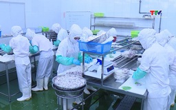 Thanh Hóa có khoảng 80 doanh nghiệp chế biến thủy, hải sản