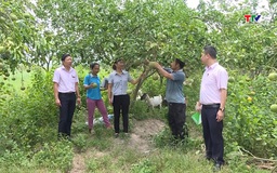 Kịp thời giải ngân nguồn vốn tín dụng ưu đãi cho các đối tượng chính sách