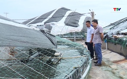 Nuôi tôm ứng dụng công nghệ cao, tăng giá trị nuôi trồng thủy sản