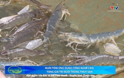 Bản tin Nông nghiệp nông thôn ngày 12/7/2025