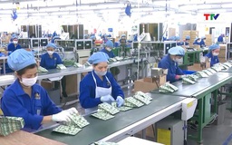 GDP 6 tháng cuối năm phải tăng 8,42%