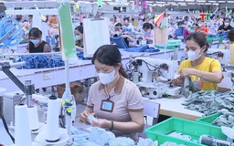Thu nhập bình quân người lao động 6 tháng đầu năm đạt 8,3 triệu đồng 
