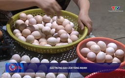 Bản tin Tài chính thị trường ngày 16/7/2025