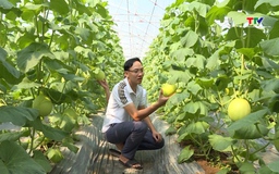 Ứng dụng khoa học công nghệ trong phát triển nông nghiệp hữu cơ