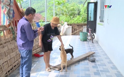 Xã Vạn Xuân chủ động phòng ngừa bệnh dại trên chó, mèo