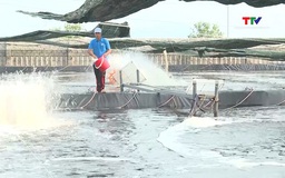 Hơn 136.120 tỷ đồng cho vay lĩnh vực nông, lâm, thủy sản