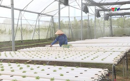 Ứng dụng khoa học công nghệ, nâng cao giá trị cây trồng, vật nuôi
