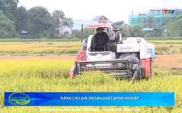 Bản tin Nông nghiệp nông thôn ngày 19/7/2025