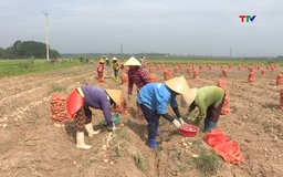 Nâng cao giá trị sản xuất nông nghiệp