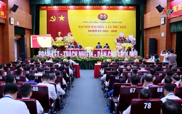 Đại hội đại biểu Đảng bộ Công ty Điện lực Thanh Hóa lần thứ XXIV, nhiệm kỳ 2025 - 2030