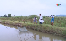 420 ha nuôi trồng thuỷ sản được cấp chứng nhận đạt tiêu chuẩn hữu cơ