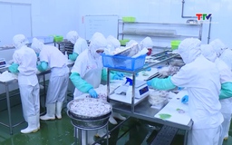 Giá trị hàng hoá thuỷ sản xuất khẩu đạt hơn 49,1 triệu USD