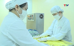 Tăng cường kiểm tra, giám sát việc kinh doanh nguyên liệu làm thuốc