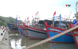Gần 6.600 tàu thuyền đã neo đậu, tránh trú bão an toàn