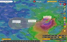 Bão số 3 cách Quảng Ninh khoảng 100 km