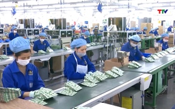 Doanh nghiệp kỳ vọng kinh doanh trong nửa cuối năm