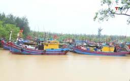 Từ sáng 22 đến 24/7 ở khu vực Thanh Hoá có mưa to đến rất to và dông
