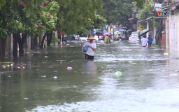 Bộ Y tế khuyến cáo phòng chống một loại vi khuẩn mùa mưa bão