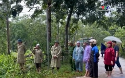 Phú Xuân khẩn trương khắc phục thiệt hại sau bão số 3 